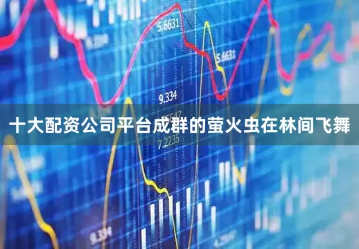 十大配资公司平台成群的萤火虫在林间飞舞