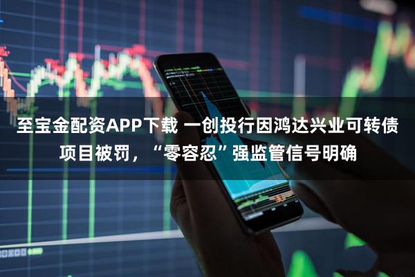 至宝金配资APP下载 一创投行因鸿达兴业可转债项目被罚，“零容忍”强监管信号明确